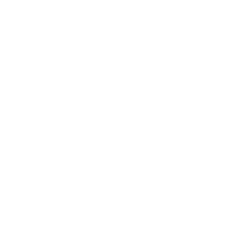 Partner Name